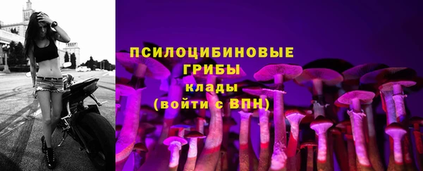 бутират Майский