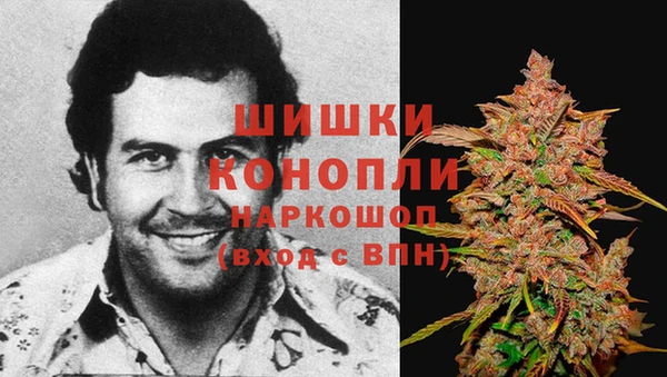 первитин Белоозёрский