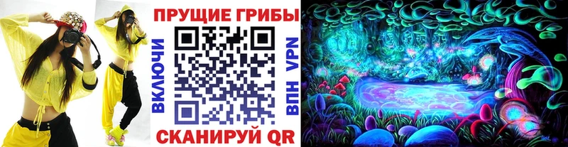 Псилоцибиновые грибы GOLDEN TEACHER Арсеньев