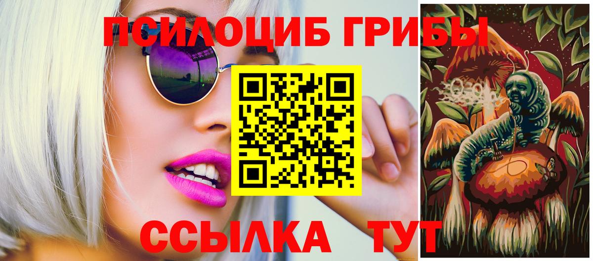 Галлюциногенные грибы Psilocybine cubensis Арсеньев