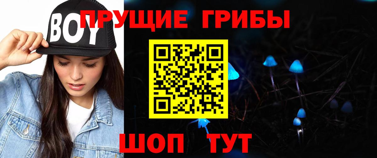 Галлюциногенные грибы Psilocybe  Арсеньев 