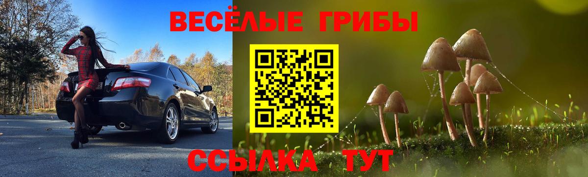Арсеньев  Галлюциногенные грибы Cubensis  Вход с VPN 