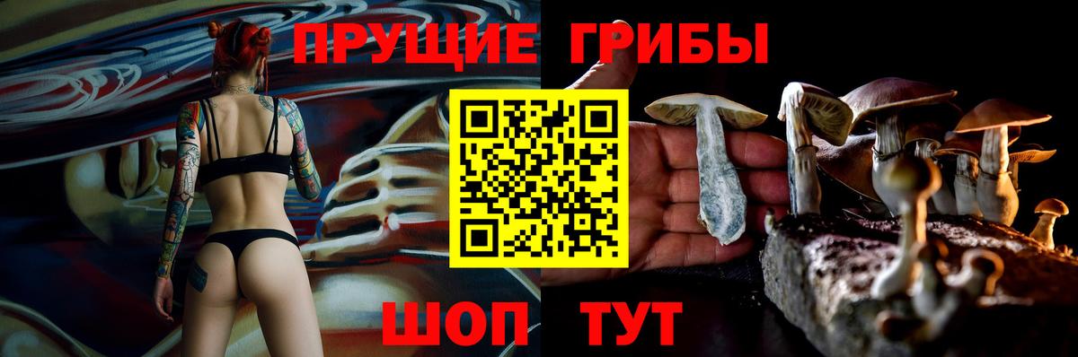 APVP Арсеньев